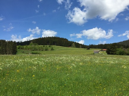 Baiersbronn Surrounding landscape 