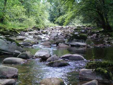 River Schoenmuenzach
